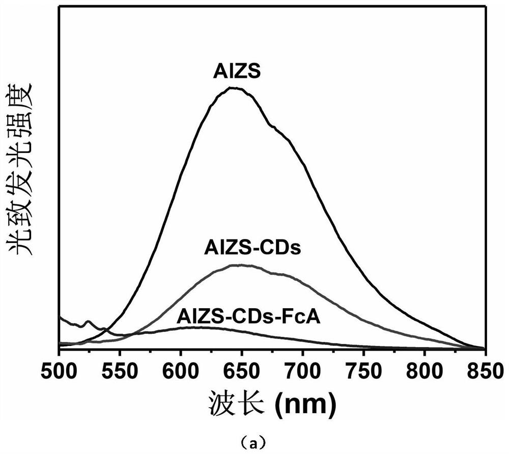 Preparation method and application of functional carbon quantum dot modified Ag-In-Zn-S quantum dots