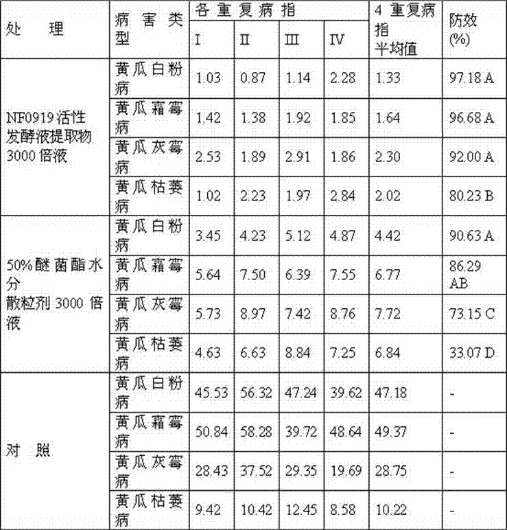 Application of metabolins of streptomyces corchorusii NF0919 bacterial strain in prevention and control cucumber diseases