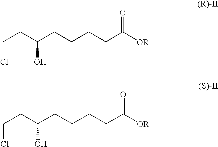 Process for the enantioselective reduction of 8-chloro-6-oxo-octanoic acid alkyl esters