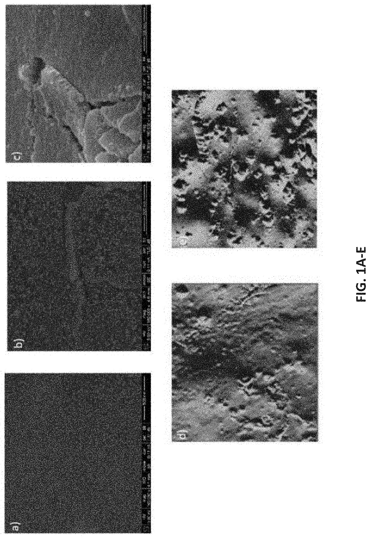 Boron carbon nitride (BCN) nanocoatings on central venous catheters inhibit bacterial colonization