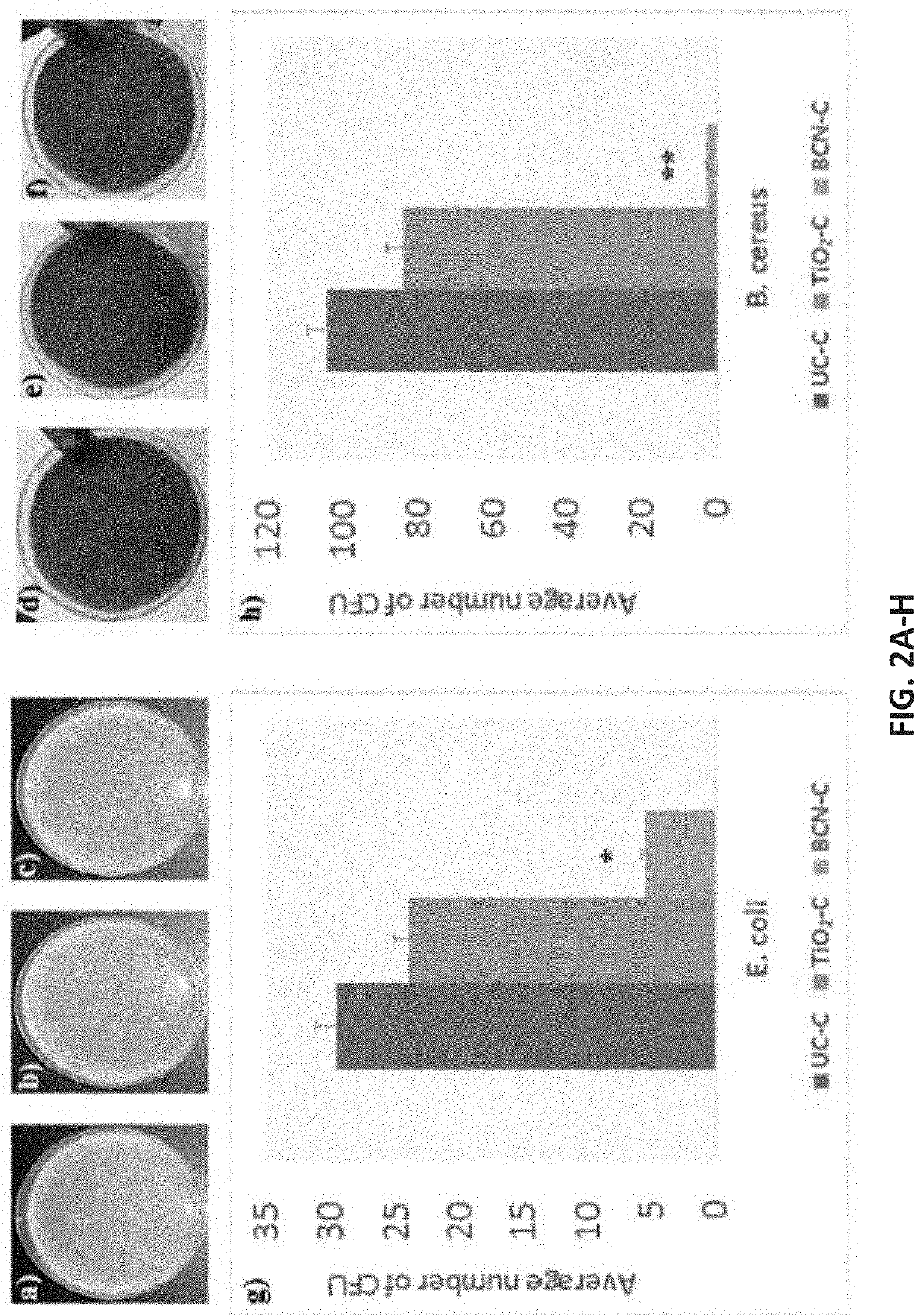 Boron carbon nitride (BCN) nanocoatings on central venous catheters inhibit bacterial colonization