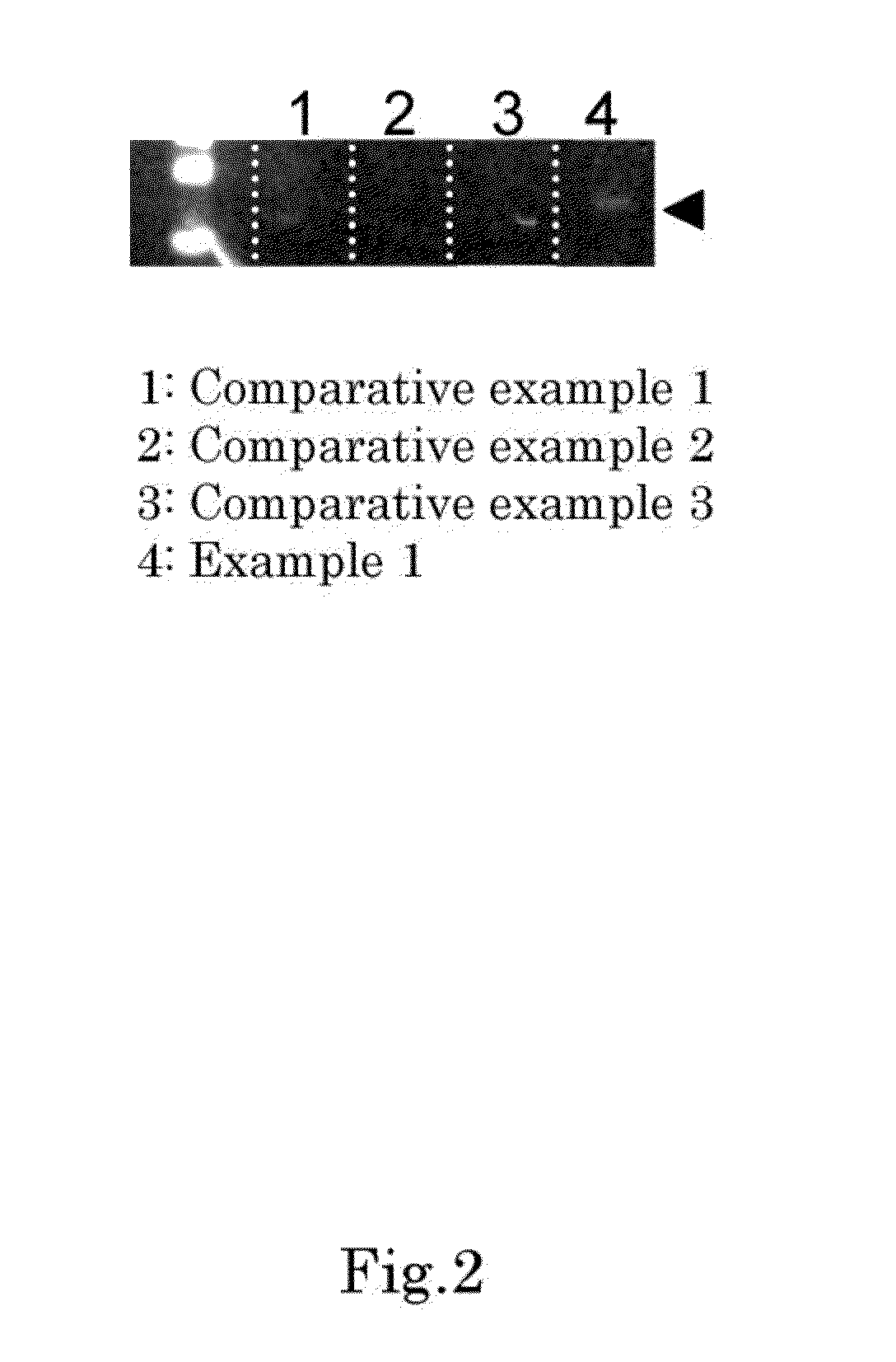 Method for identifying olfactory receptor included in one olfactory cell