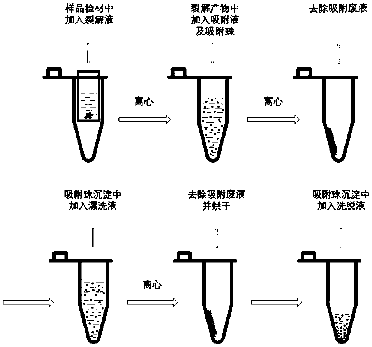 Silicon bead test nucleic acid extraction kit as well as use method and application thereof