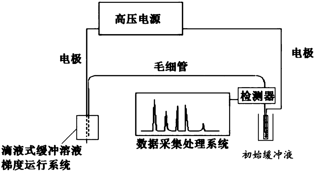 Liquid-dropping buffering solution gradient operation system and operation method thereof