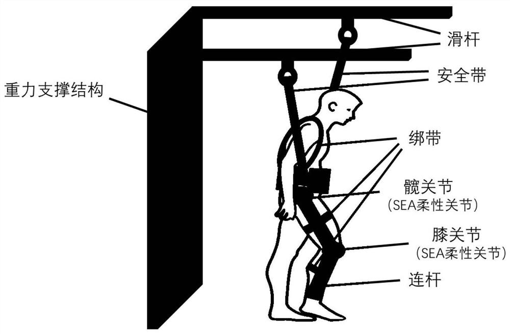 Construction method and system of flexible lower limb exoskeleton rehabilitation unit based on digital twin