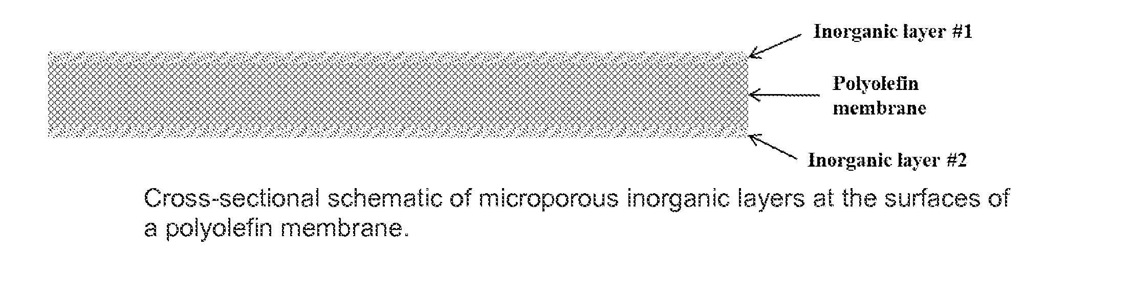 Freestanding, dimensionally stable microporous webs
