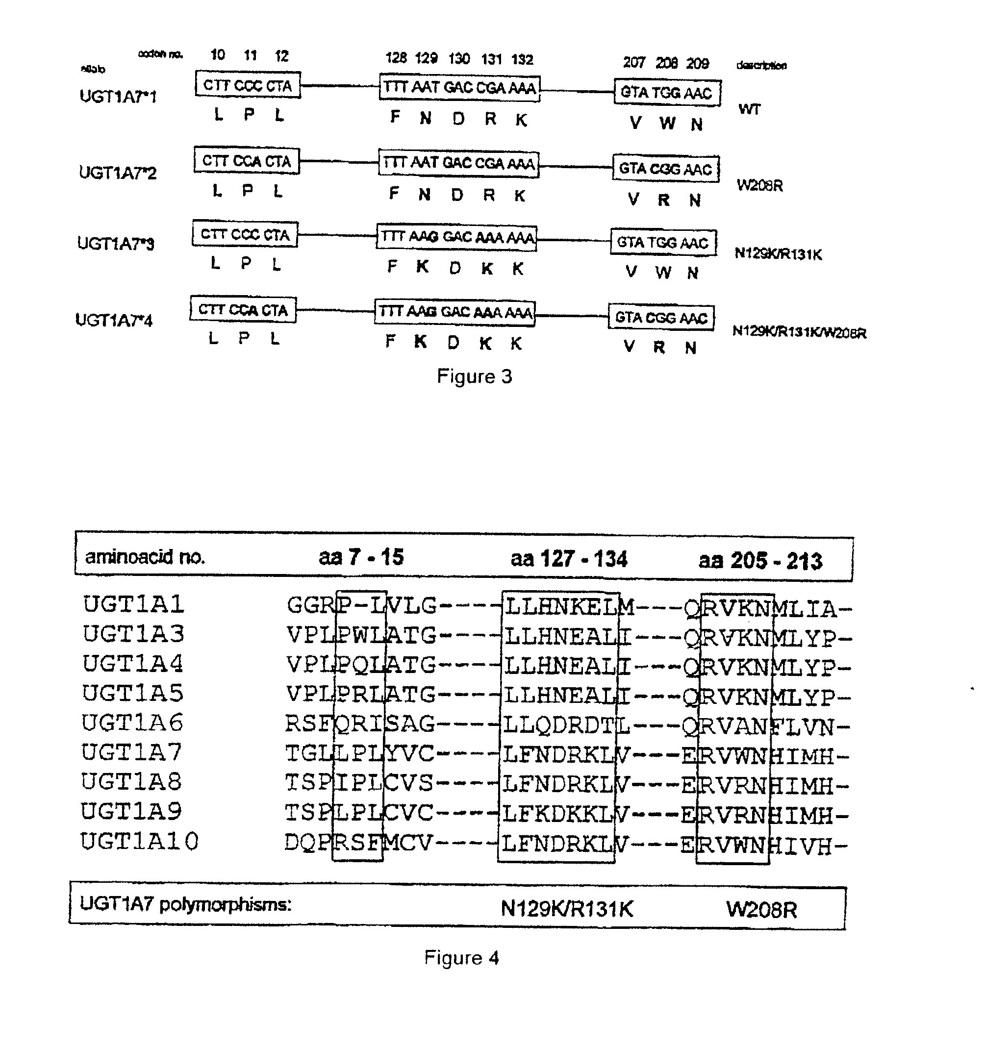 Method for the Prediction of the Risk Potential for Cancerous Diseases and Inflammatory Intestinal Diseases and Corresponding Tests