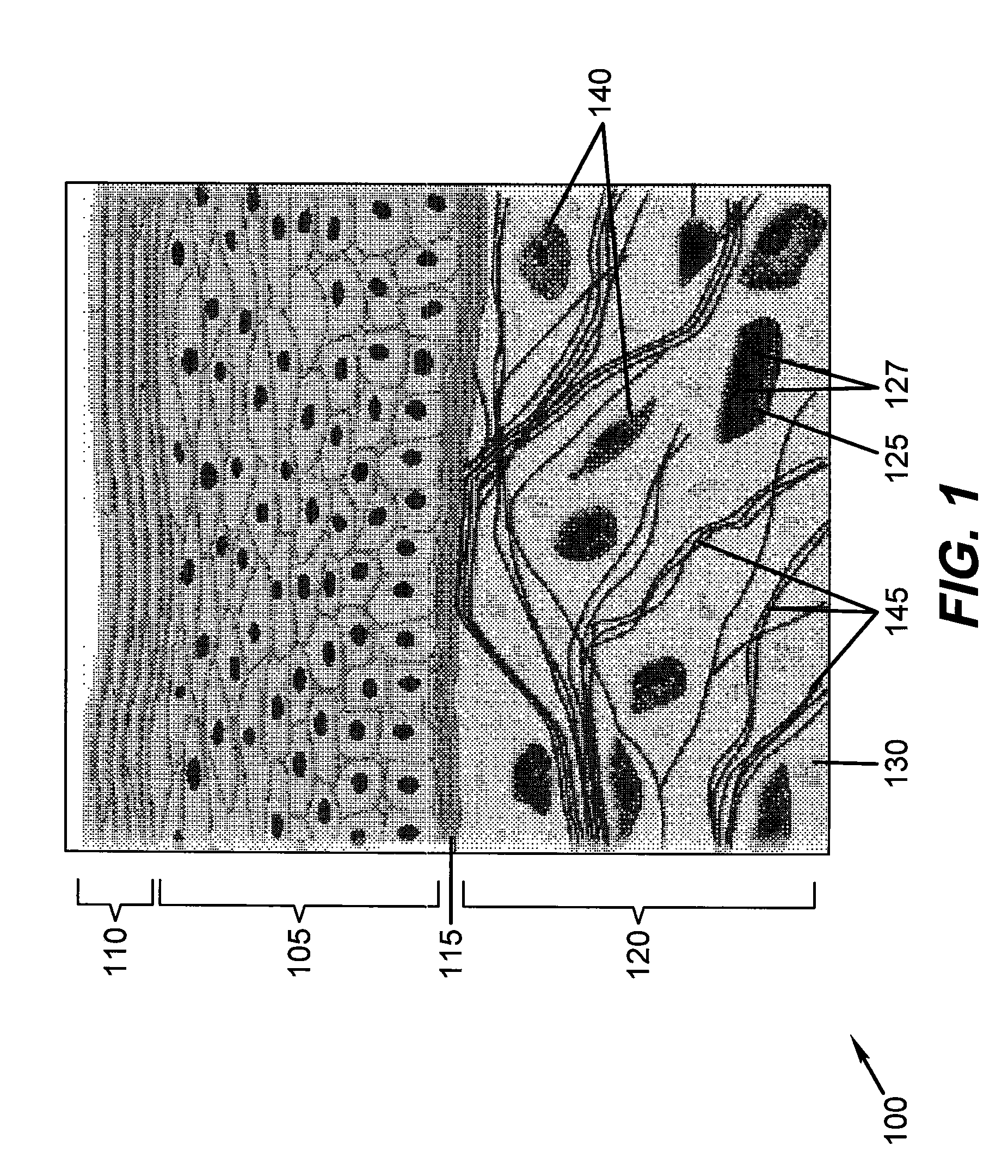 Device for optically stimulating collagen formation in tissue