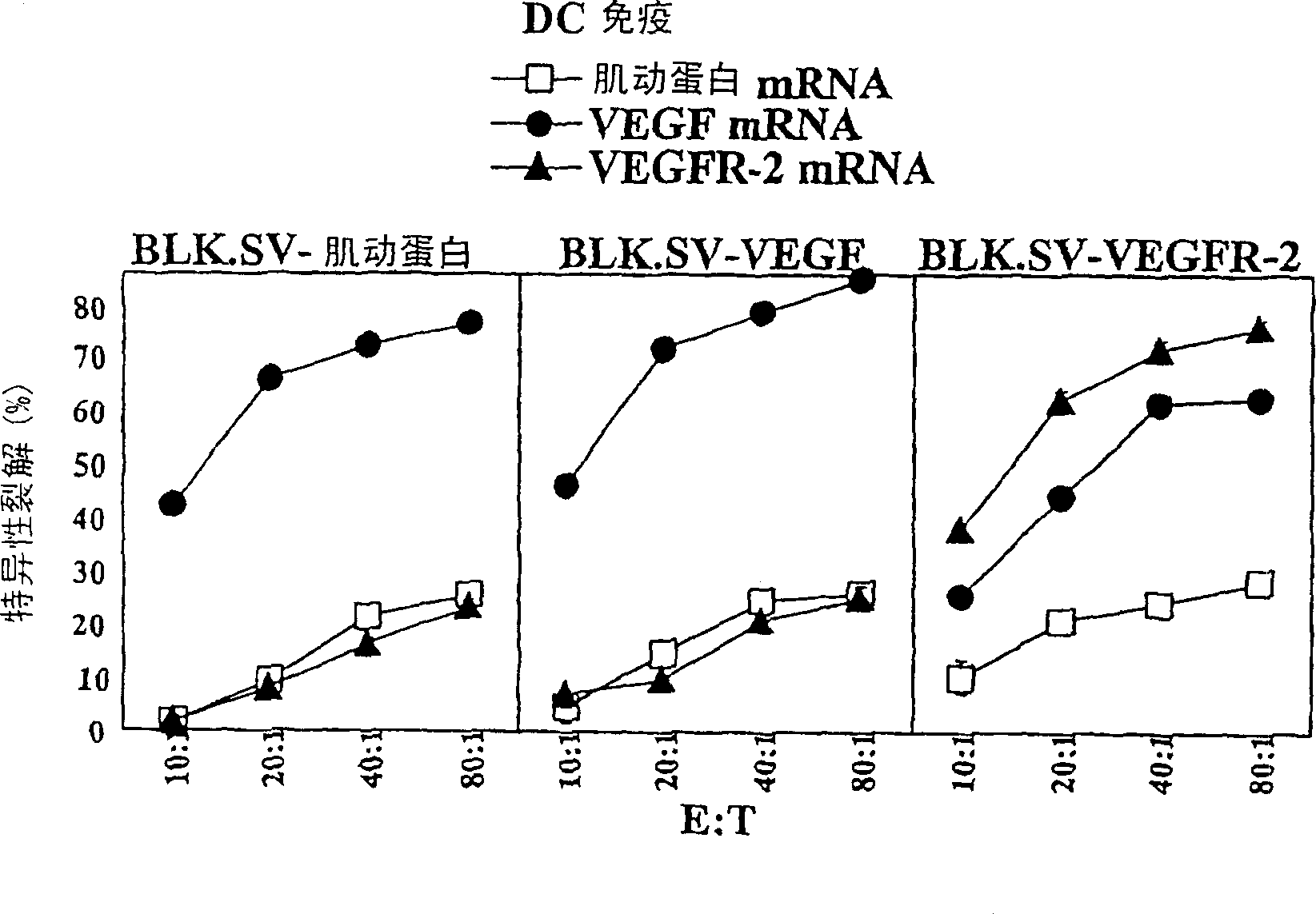 Angio-immunotherapy