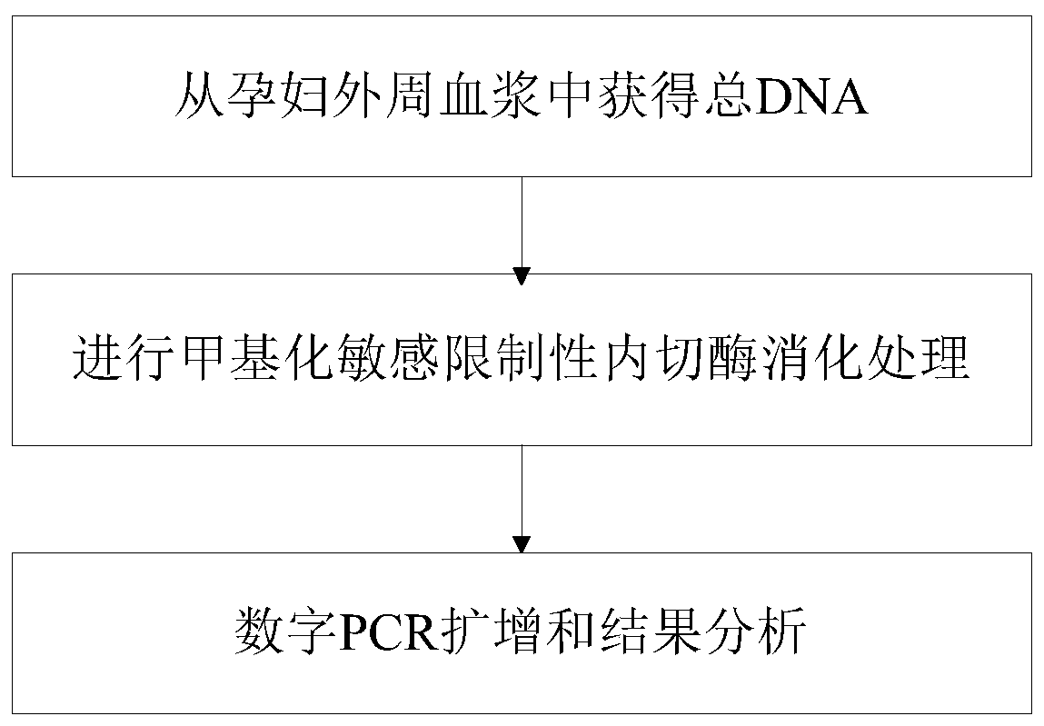 Method for detecting absolute copy number of fetal free DNA in maternal plasma on basis of digital PCR and kit for detecting absolute copy number of fetal free DNA in maternal plasma on basis of digital PCR