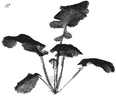 A spray simulation method based on droplet cloud simulation