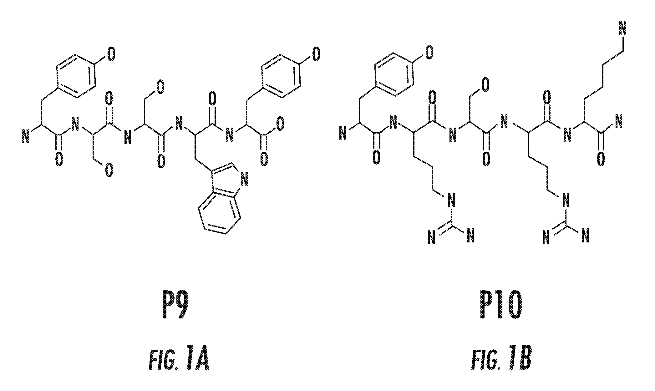 Peptide tyrosinase activators