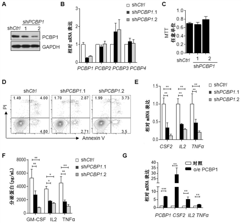 Application of pcbp1 gene or its protein regulator in immune system diseases