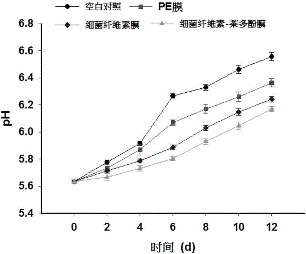 Application of bacterial cellulose-tea polyphenol composite film in food fresh keeping