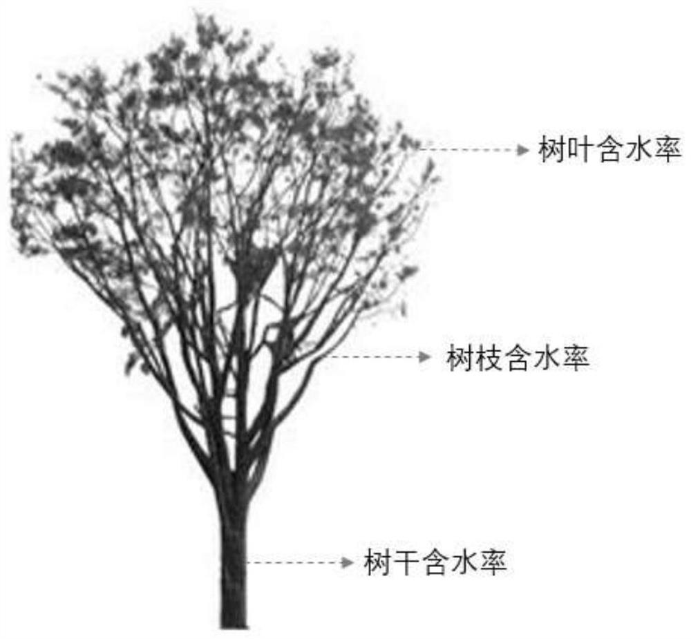 Ecological Water Estimation Method of Vegetation Canopy Based on Backpack LiDAR