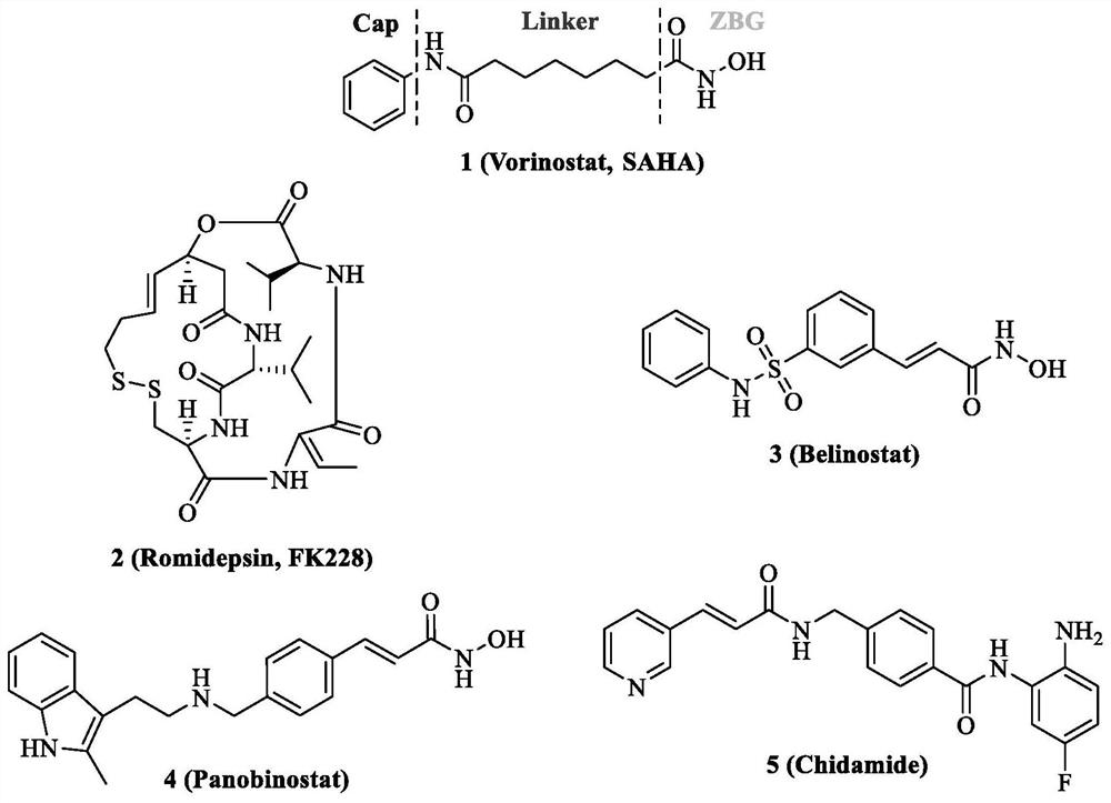 A dual-target inhibitor of histone deacetylase and microtubule and its preparation method