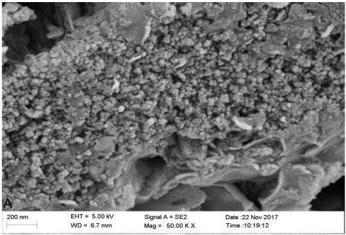 Preparation method and application of nano zero-valent iron composite material