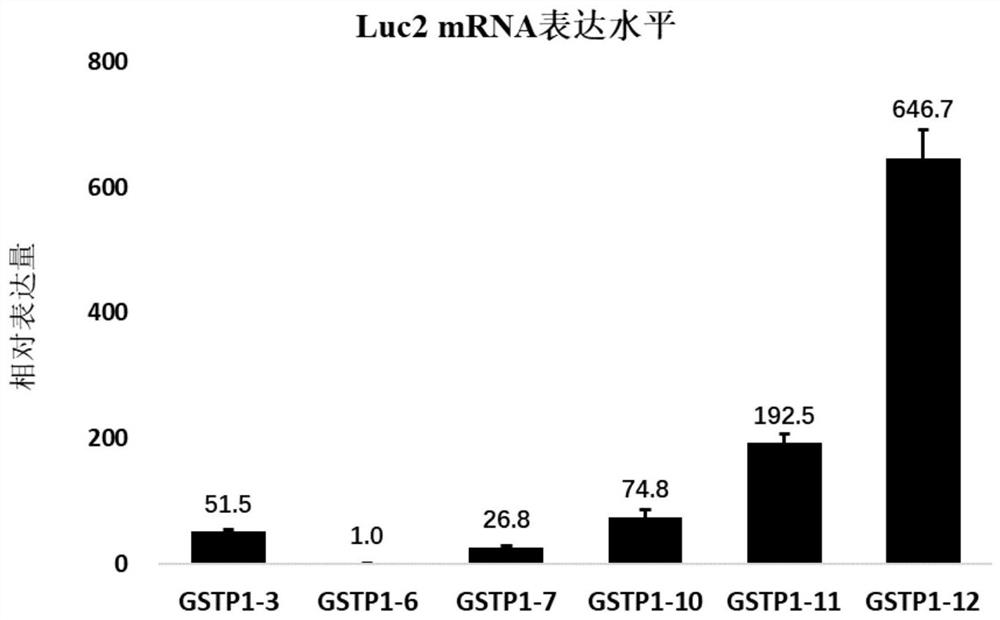 Construction of cell strain containing luciferase reporter gene of human GSTP1 ARE and application thereof
