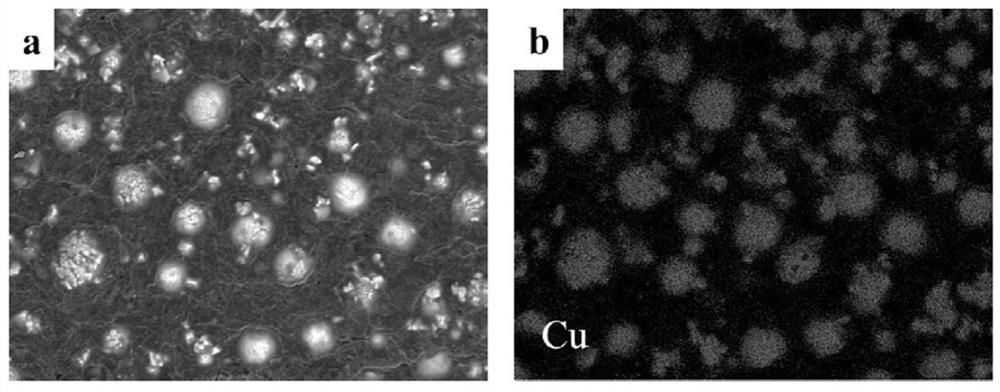 A kind of preparation method of metal lithium composite negative electrode for solid-state battery
