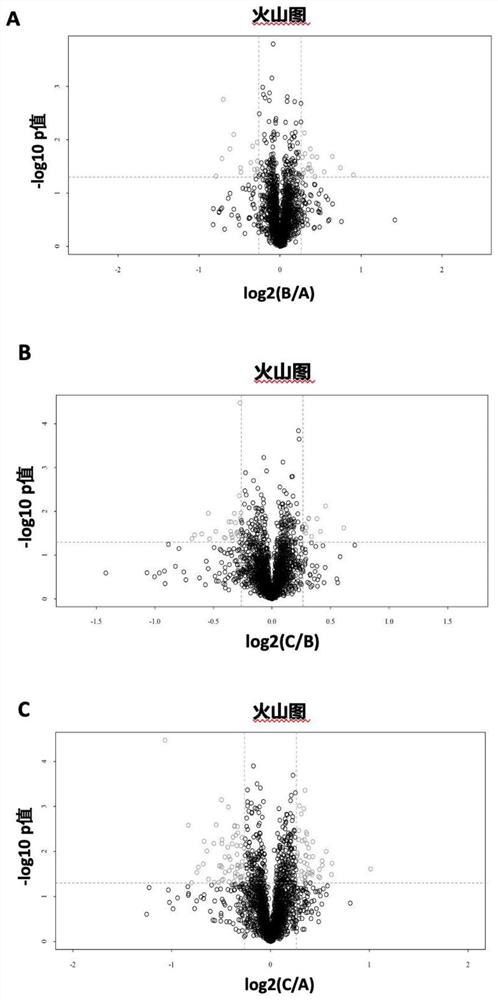 Iron metabolism related protein marker composition for high myopia risk prediction and high myopia auxiliary diagnosis and application of iron metabolism related protein marker composition