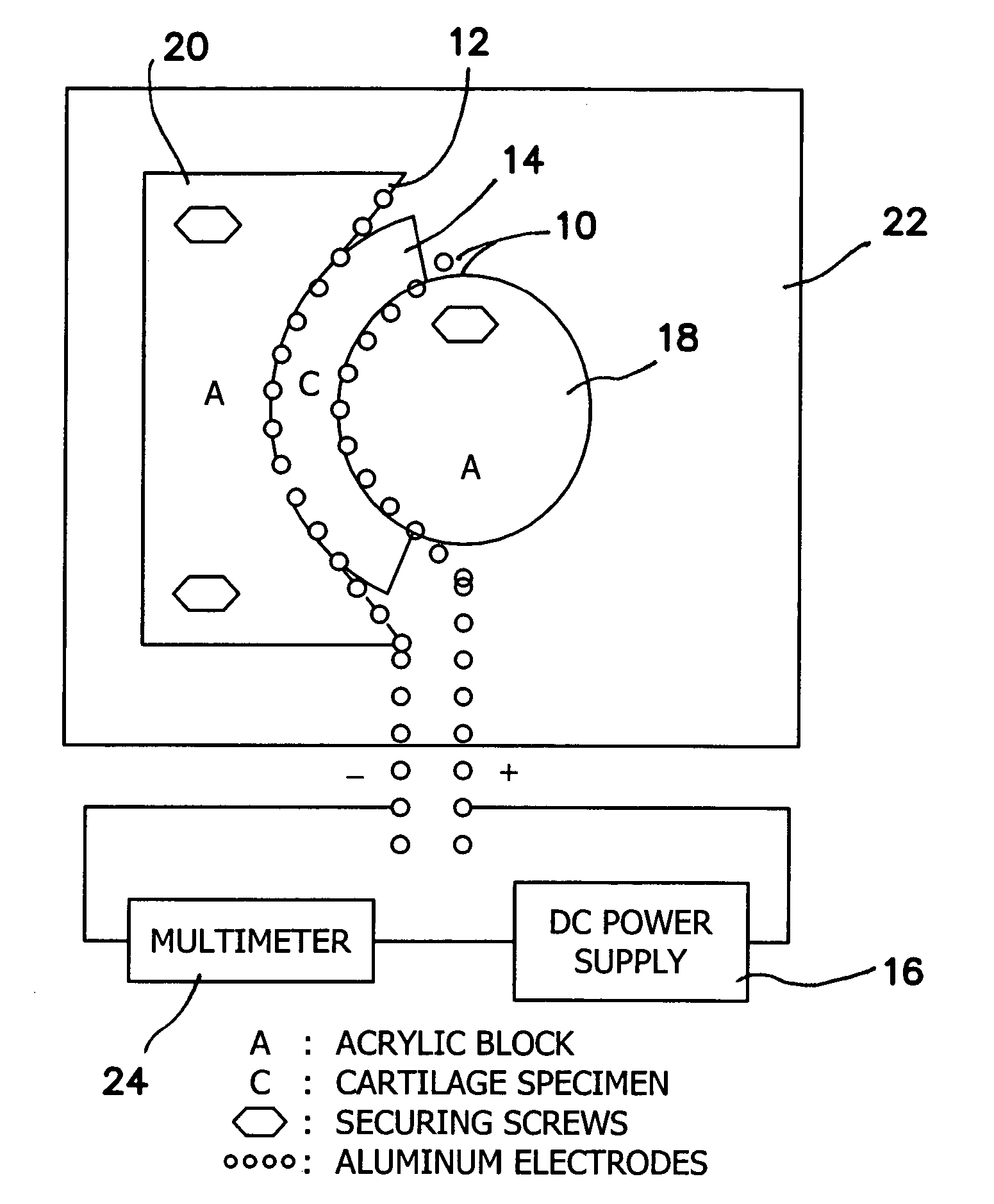 Method and apparatus for the control and monitoring of shape change in tissue