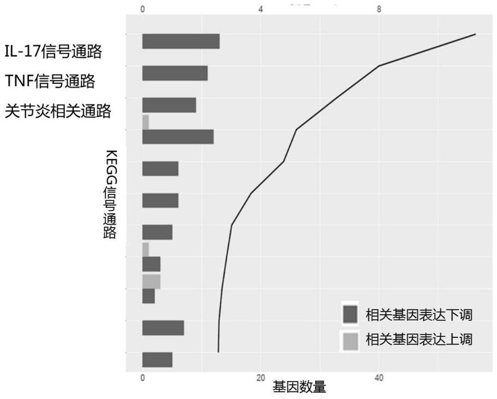 A traditional Chinese medicine composition for alleviating inflammatory response of osteoarthritis and preparation method thereof