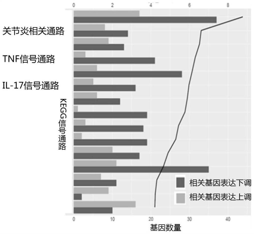 A traditional Chinese medicine composition for alleviating inflammatory response of osteoarthritis and preparation method thereof