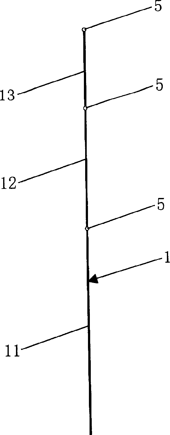 Door structure of container, its making method and the container therewith