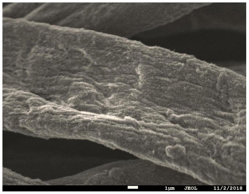 A kind of conductive fabric/polyaniline composite material electrode and preparation method thereof