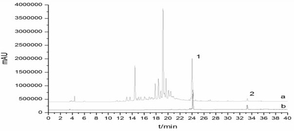 Method for extracting triterpenoids from Scherichia cheifera leaves by using ionic liquid