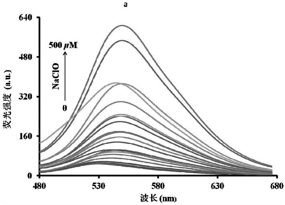 Rapid high-selectivity hypochloric acid fluorescence probe and application thereof