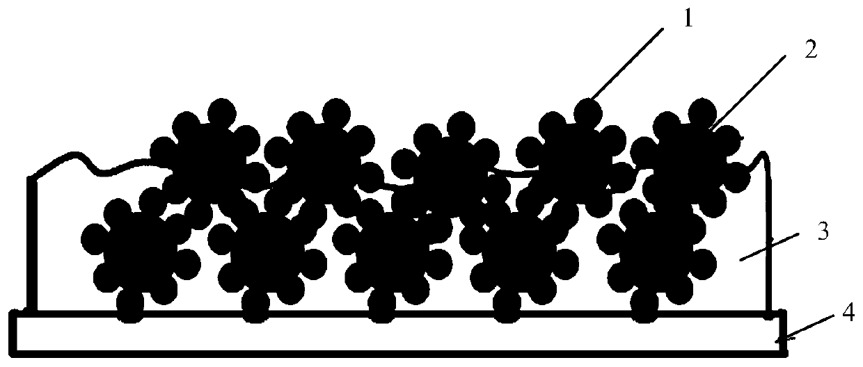 Super-hydrophilic self-cleaning anti-fog coating and preparation method thereof