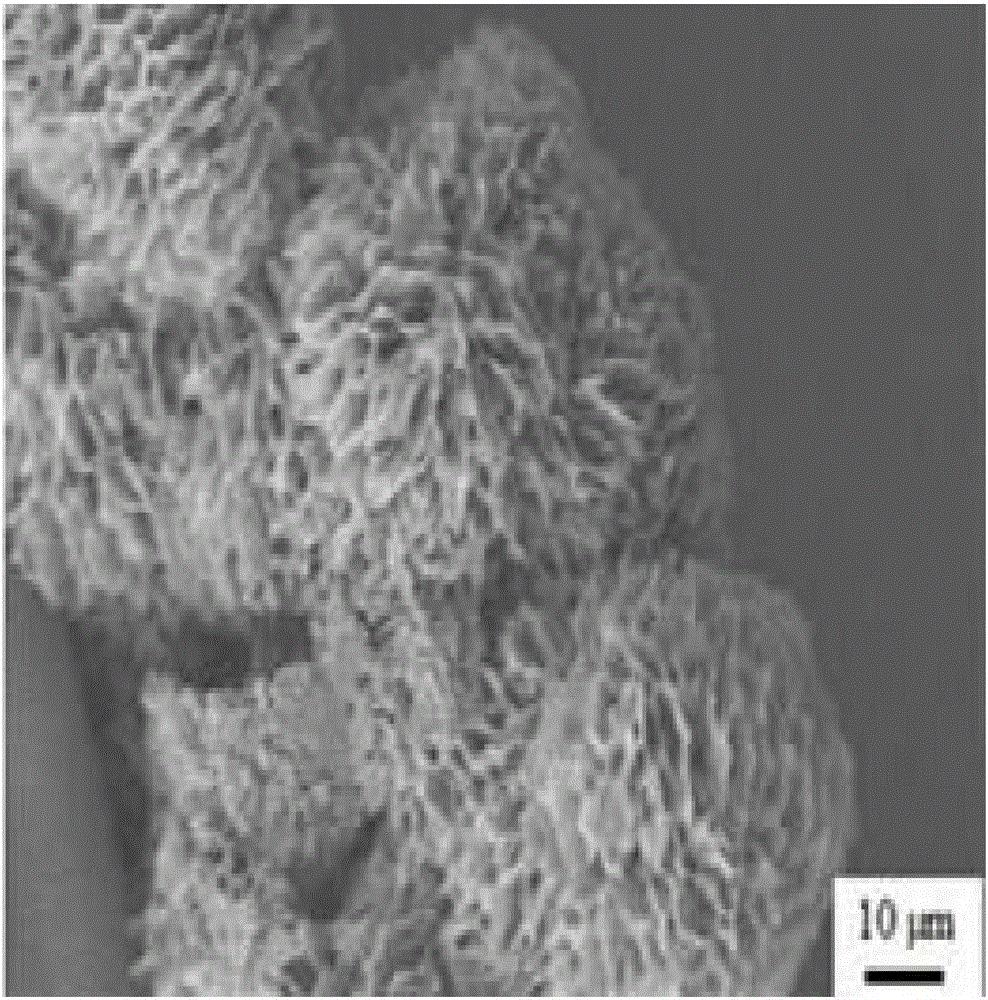 Preparation method of heterojunction mvo4 and tio2 composite photocatalytic fiber