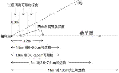 Line transect plane measuring method for loading capacity of falling forest wood combustibles