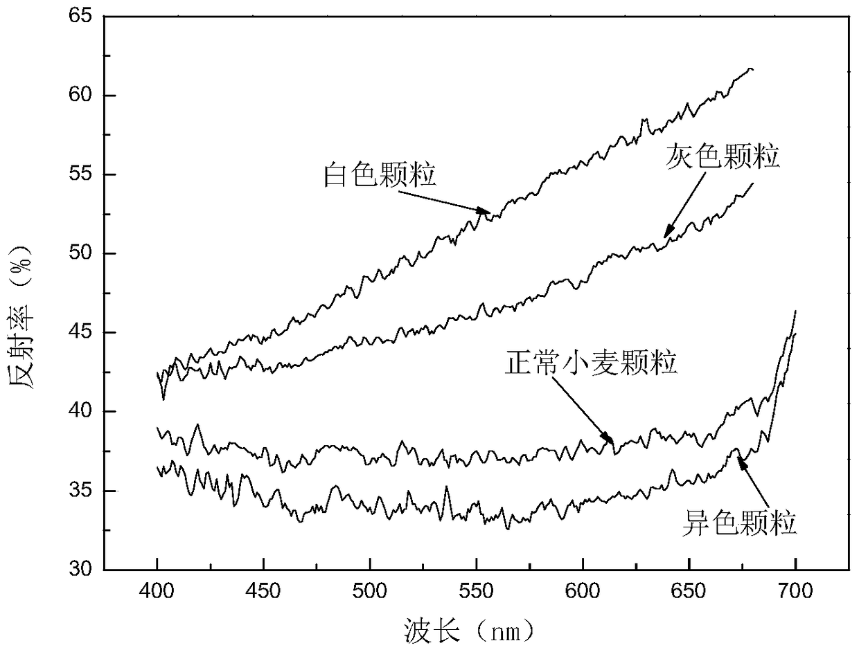 A kind of identification sorting equipment and sorting method of vomitoxin