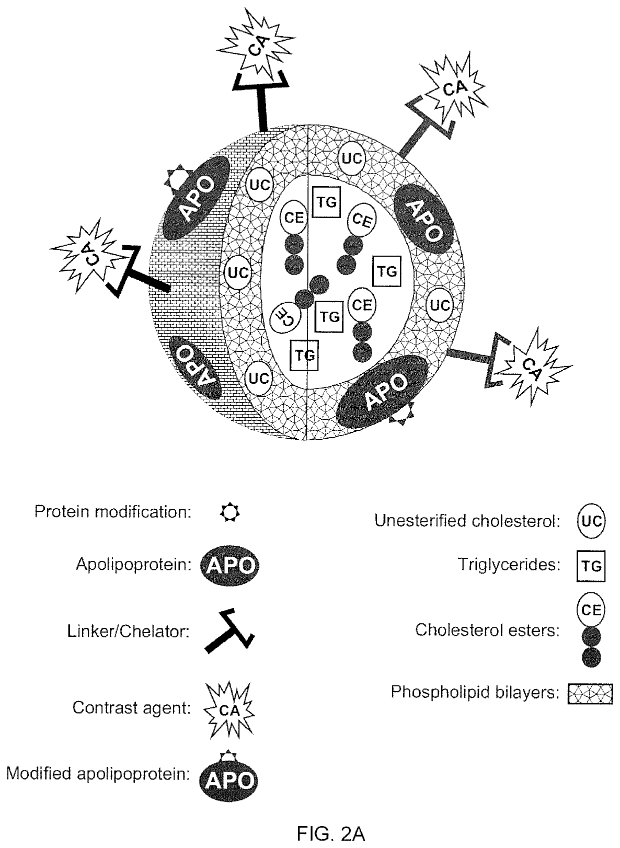 Methods and compositions for targeted imaging