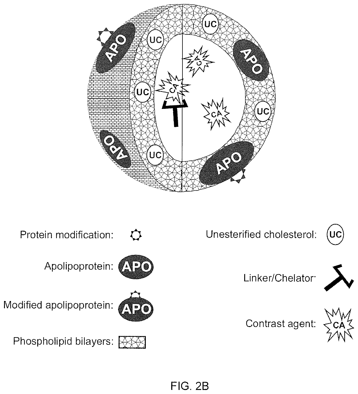 Methods and compositions for targeted imaging