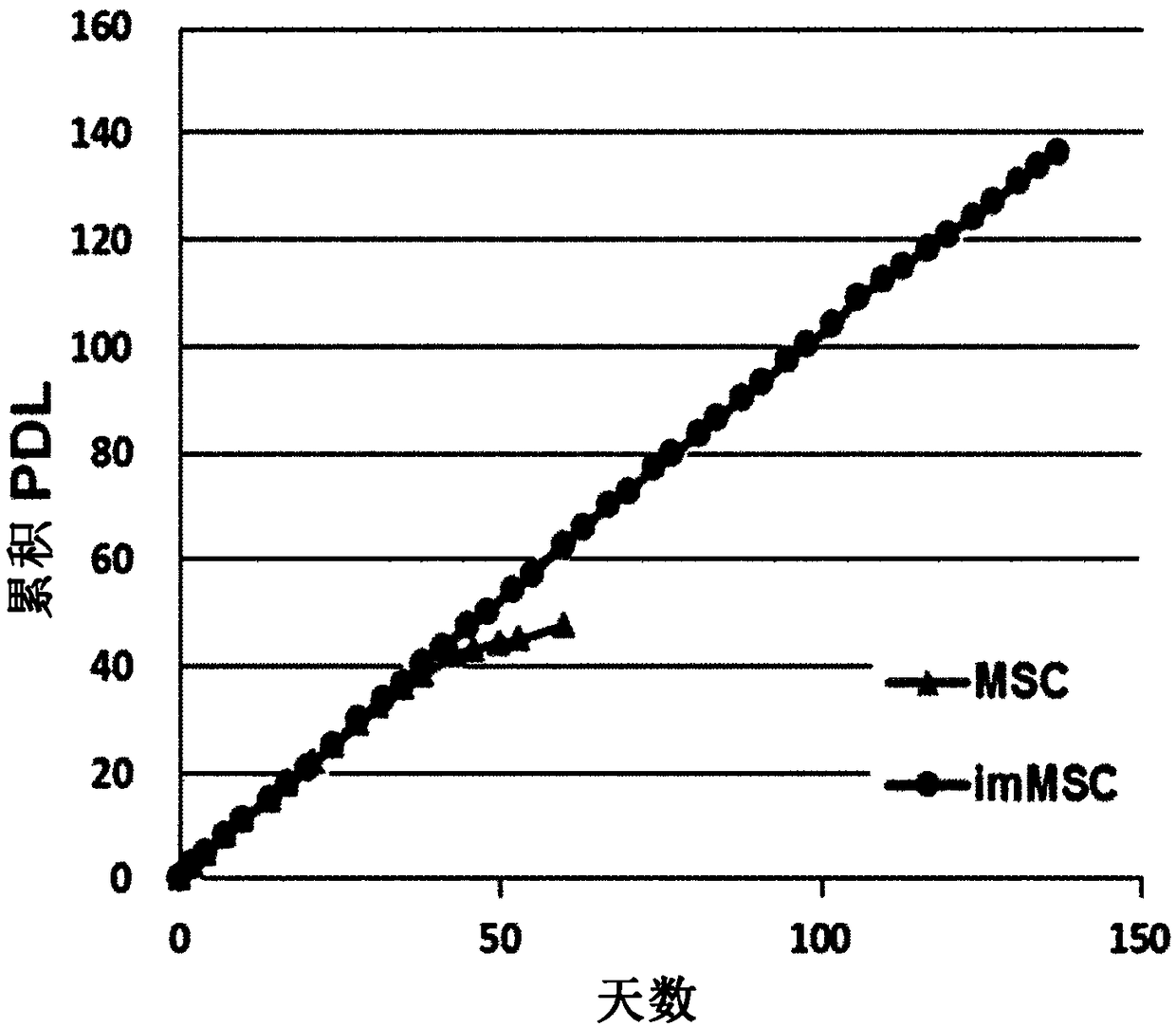 Mesenchymal stem cell expressing hepatocyte growth factor, and use thereof