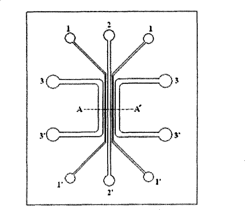 Construction method of blood capillary model and microsystem chip thereof