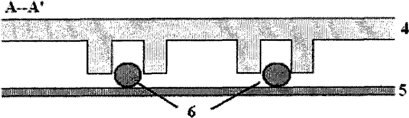 Construction method of blood capillary model and microsystem chip thereof