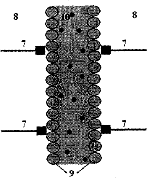 Construction method of blood capillary model and microsystem chip thereof