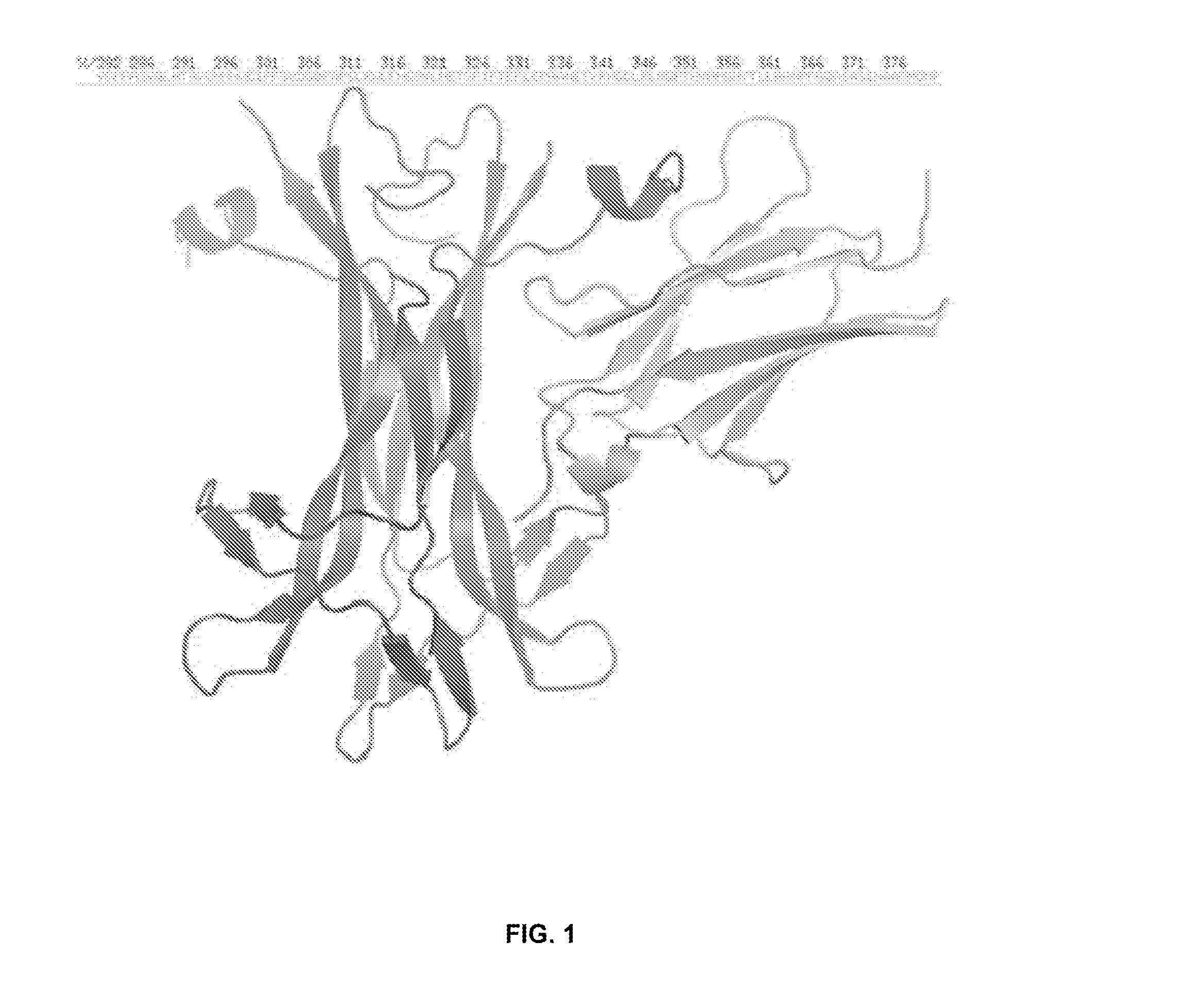 Anti-trka antibodies, derivatives and uses thereof