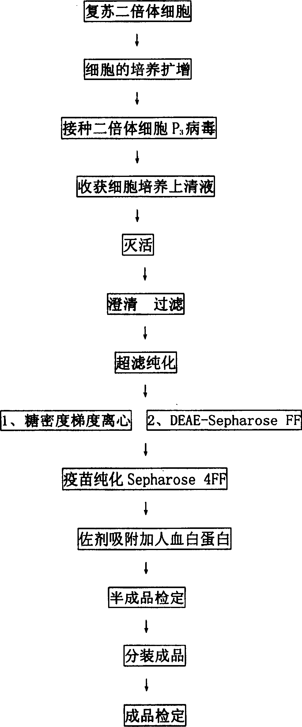 Diploid cell cerebritis B vaccine and purified cerebritis B vaccine, dosage form freeze-drying and water injection