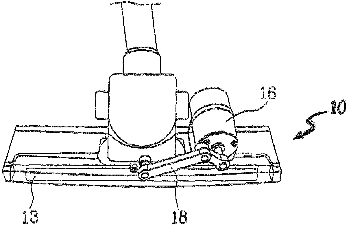 Vacuum cleaner having agitator performing linear translation