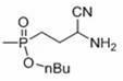 Method for synthesizing (3-amino-3-cyano) propyl methyl butyl phosphite based on micro-channel reactor