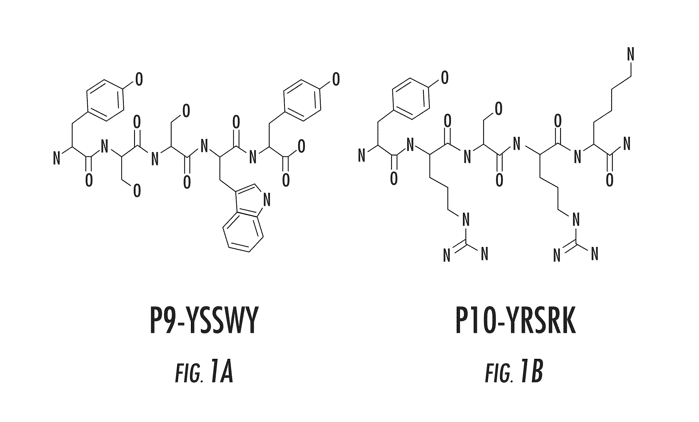 Peptide Tyrosinase Activators