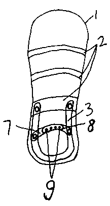 Novel multifunctional shoes