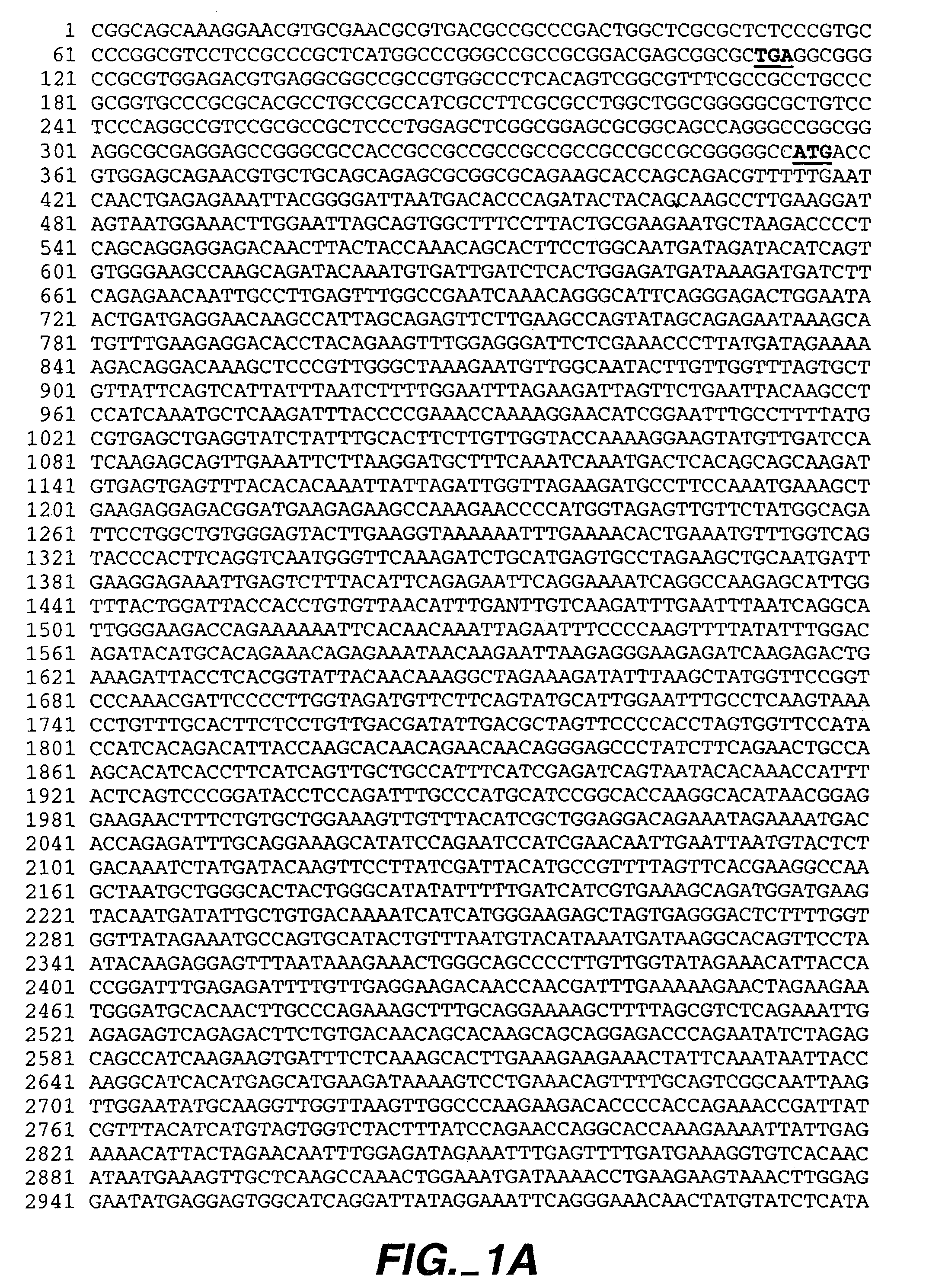 Modulators of leukocyte activation, compositions and methods of use