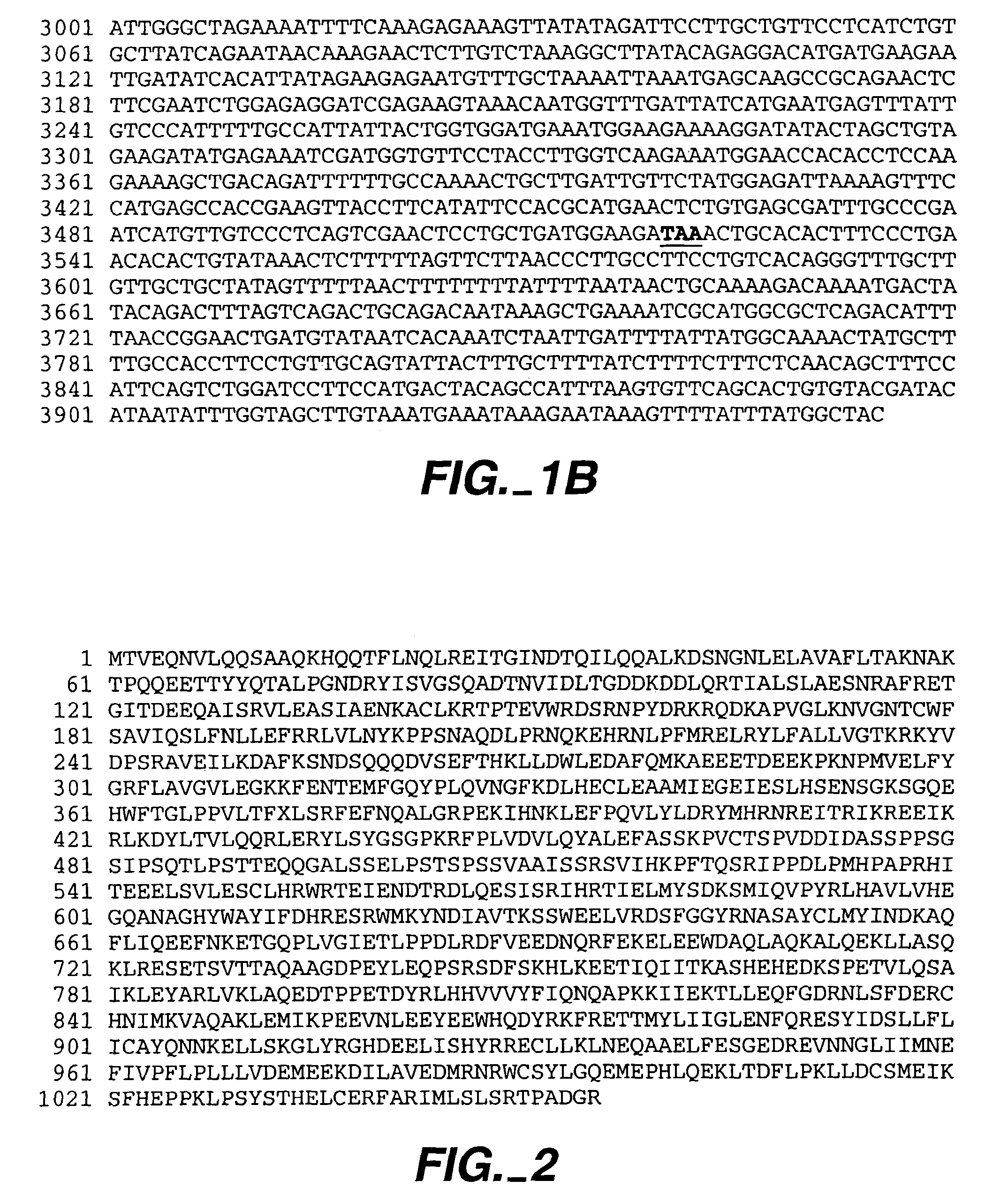 Modulators of leukocyte activation, compositions and methods of use