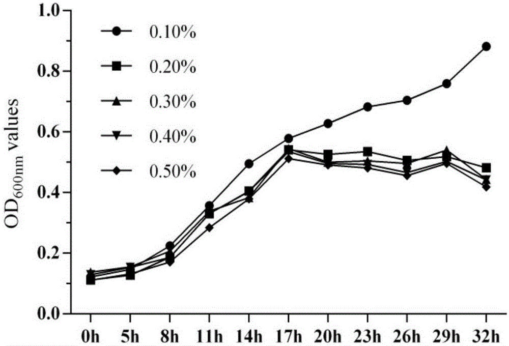 Cold-water-fish probiotics bacillus strain and application thereof